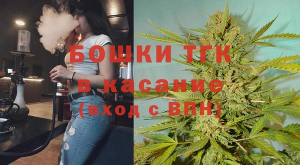 прущие грибы Баксан