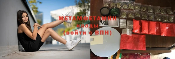 прущие грибы Баксан