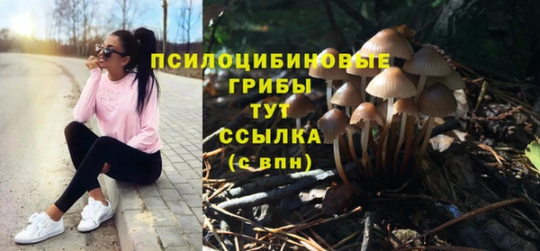 дживик Балабаново