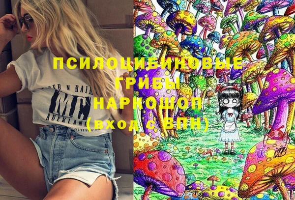 прущие грибы Баксан