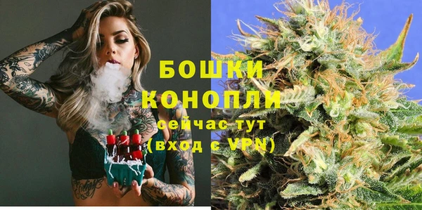 прущие грибы Баксан